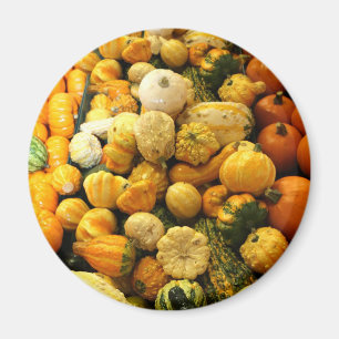 Fallgurkor Magnet