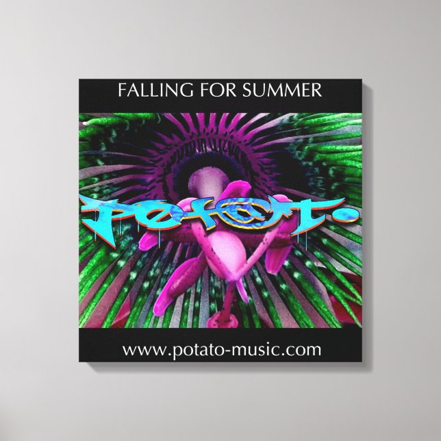 Falling Canvas (Framsida)