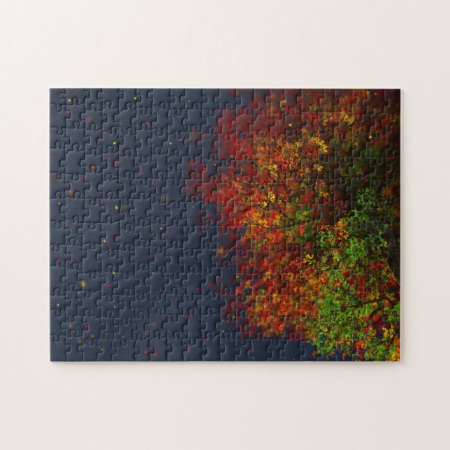 Falling Rainbow Puzzle Pussel (Horisontell)