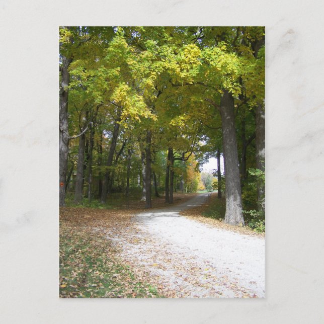 fallkort vykort (Framsida)