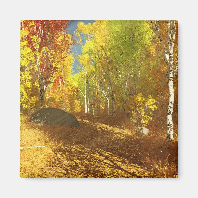 Fallljus, magnet (Framsidan)