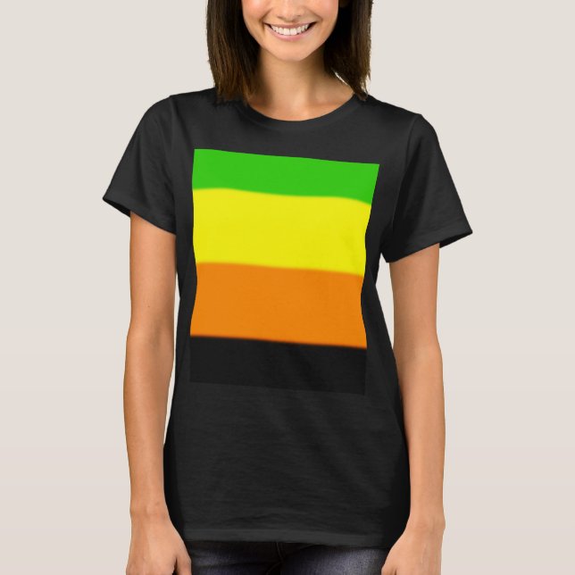 Fallln Aromantic Pride Flagga T-shirt (Framsida)