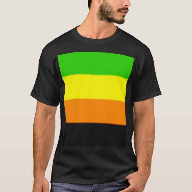 Fallln Aromantic Pride Flagga Tee (Framsida)
