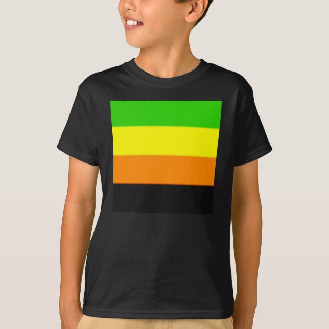 Fallln Aromantic Pride Flagga Tee Shirt (Framsida)