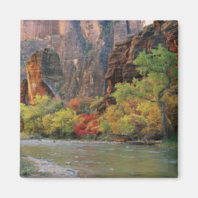 Falllöv längs Virgin River nära gateway till Magnet (Framsidan)