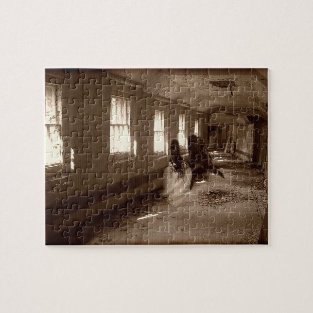 Falln Asylum Angel Pussel (Horisontell)