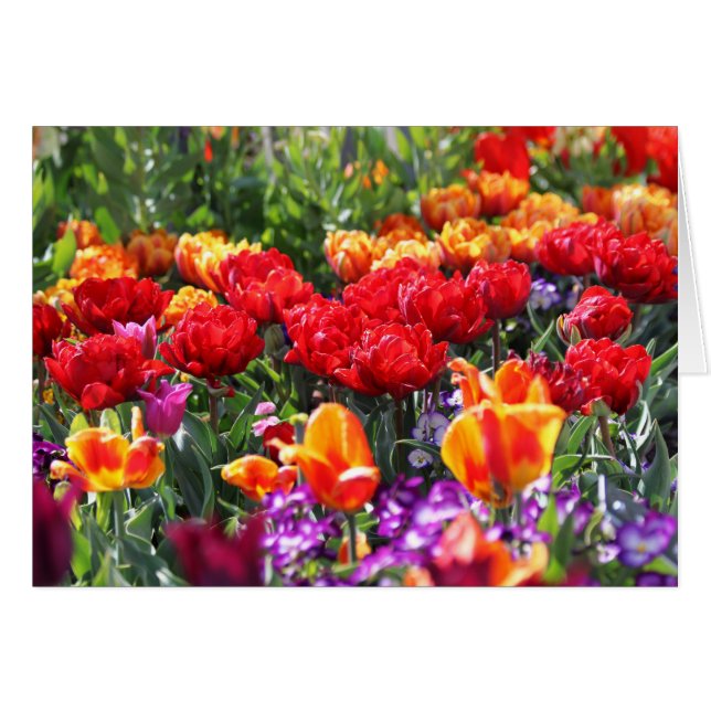 Falln Blommigt Crimson Vågar Hälsningskort (Framsidan Horizontal)