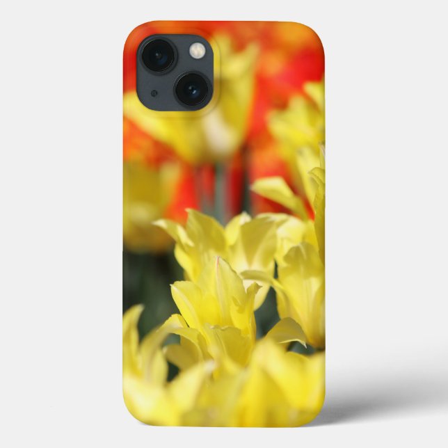 Falln Blommigt, sommarglöd (Baksida)