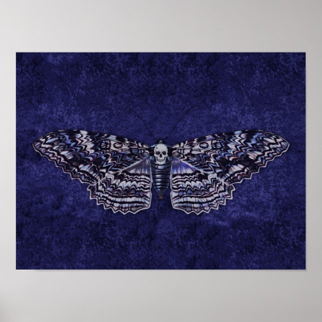 Falln Deathshead Moth Poster (Framsidan)