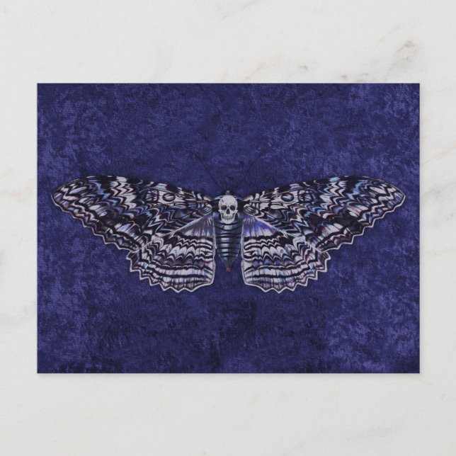 Falln Deathshead Moth Vykort (Framsida)