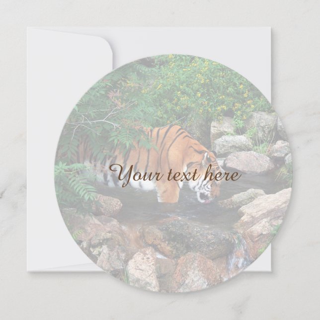 Falln Drinking Tiger (Framsida)