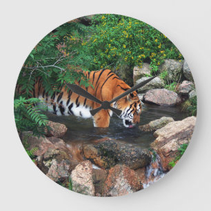Falln Drinking Tiger Stor Klocka
