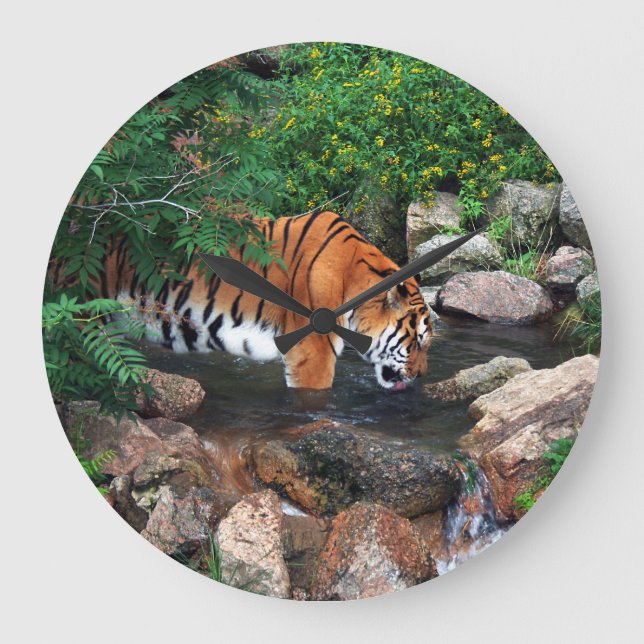 Falln Drinking Tiger Stor Klocka (Framsida)