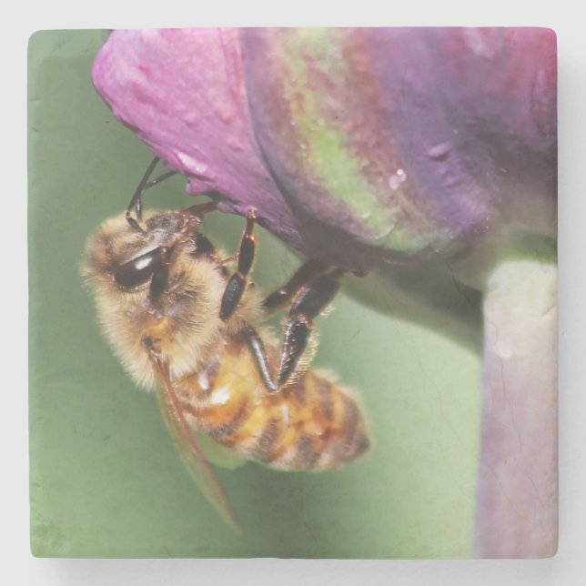 Falln Fuzzy Little Bee Stenunderlägg (Framsidan)