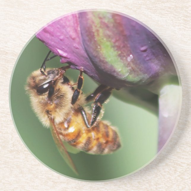Falln Fuzzy Little Bee Underlägg (Framsidan)