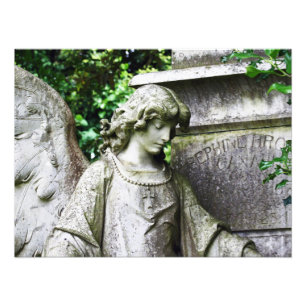 Falln Garden Angel Fototryck