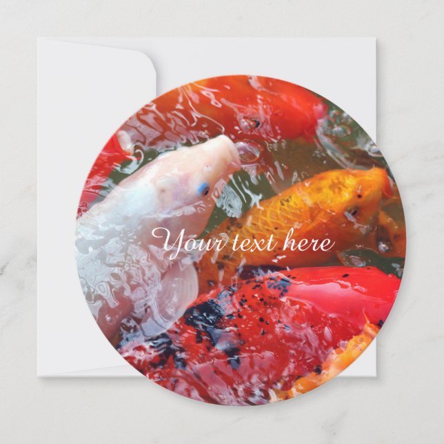 Falln Gathering Koi (Framsida)