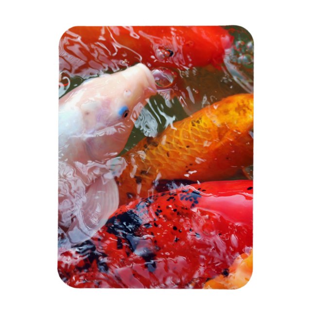 Falln Gathering Koi Magnet (Vertikal)