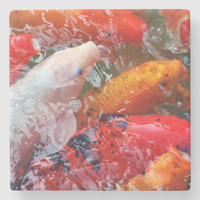 Falln Gathering Koi Underlägg Sten (Framsidan)
