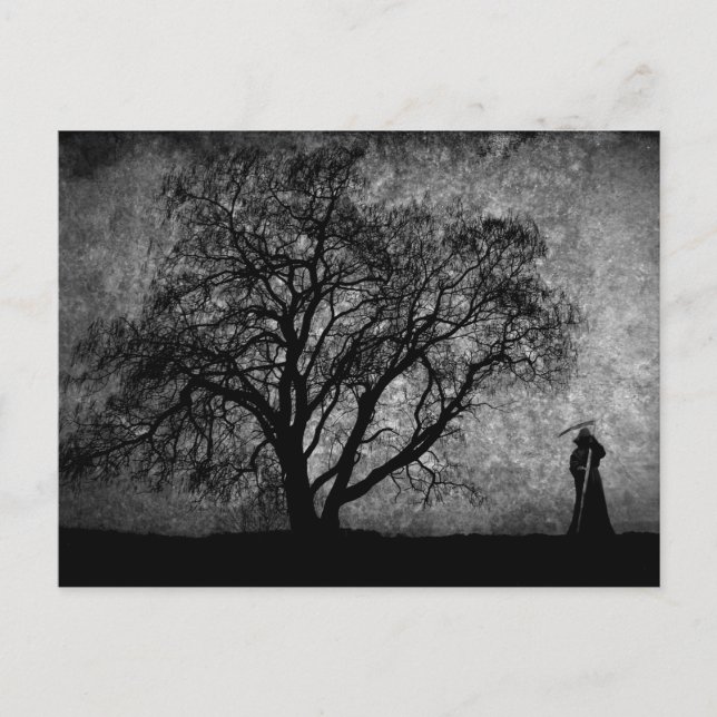 Falln Grim Reaper Art Boundaries between Vykort (Framsida)