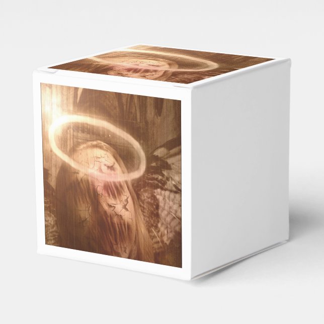 Falln Guardian Angel Presentaskar (Framsidan Sidan)