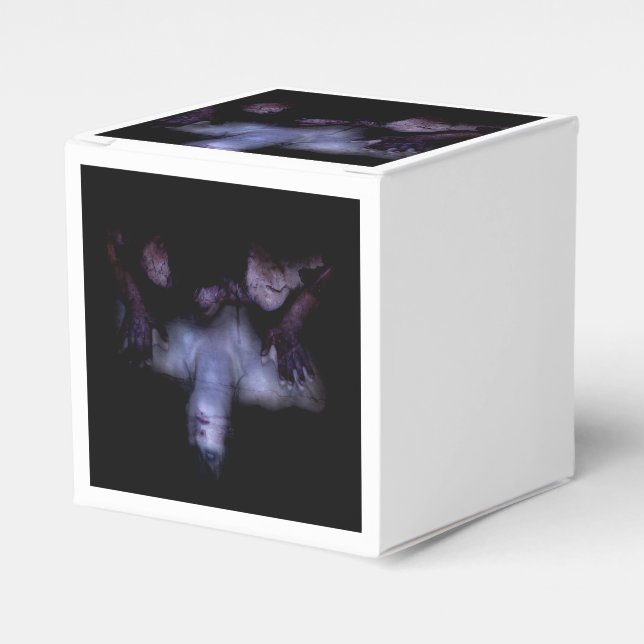 Falln MirrorMirror Presentaskar (Framsidan Sidan)