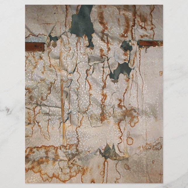 Falln Nedfläckad Elegance (Framsida)