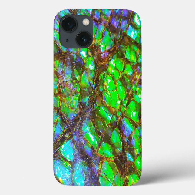 Falln Peacock Ammolite (Baksida)