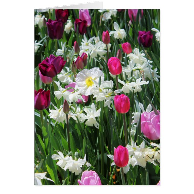 Falln Romantic Vår God Hälsningskort (Framsidan)