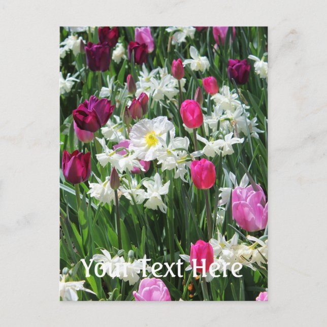 Falln Romantic Vår God Vykort (Framsida)