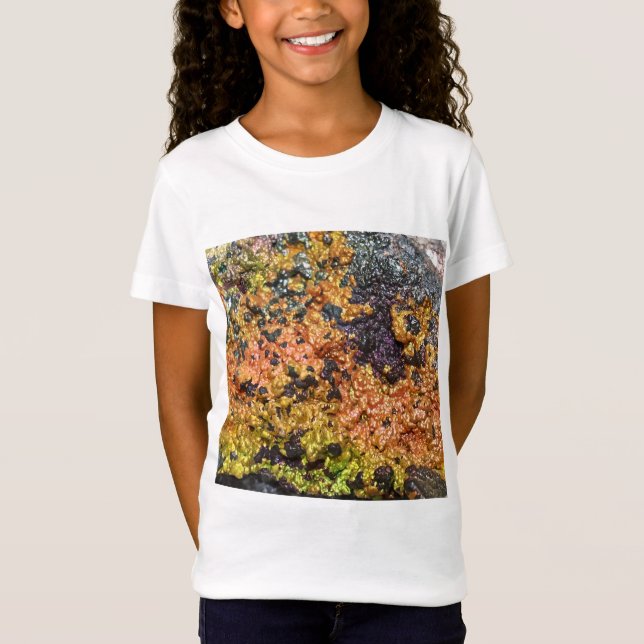 Falln Rusty Sunset Stones T Shirt (Framsida)