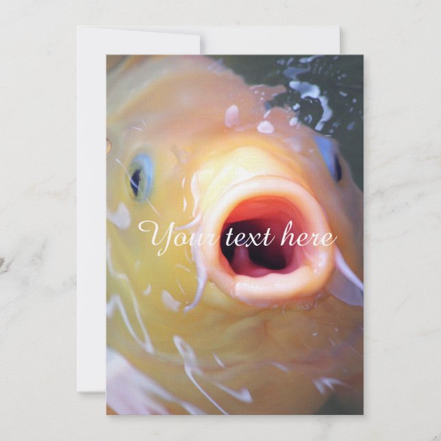 Falln Singing Ghost Koi (Framsida)