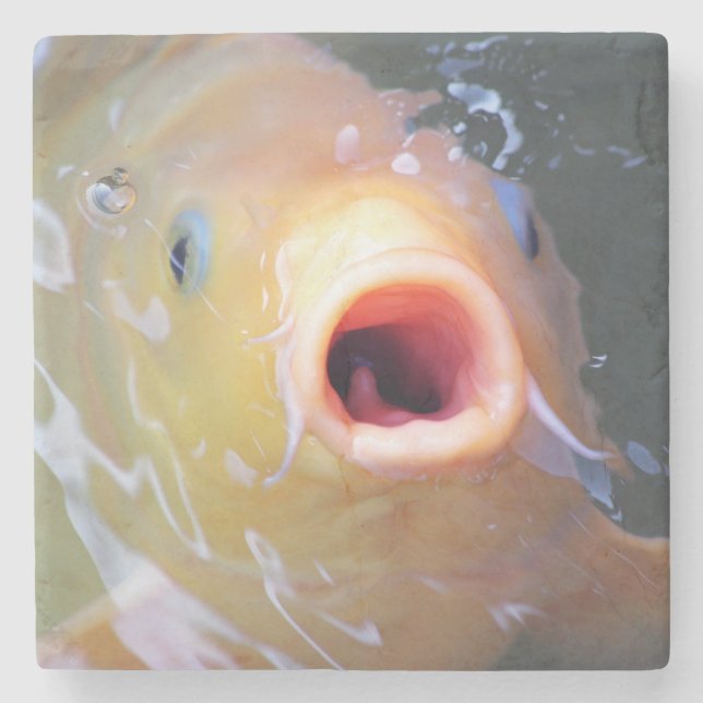 Falln Singing Ghost Koi Underlägg Sten (Framsidan)