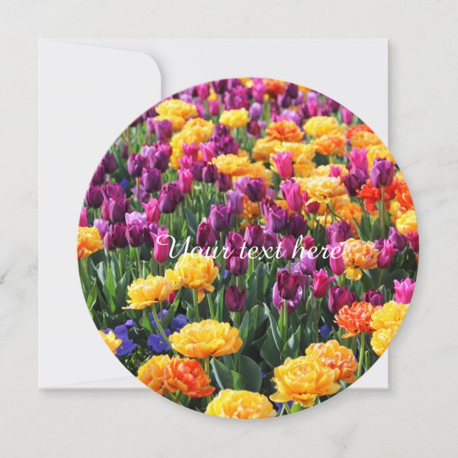 Falln Sunset Blommigt River (Framsida)