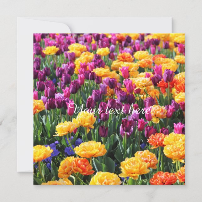 Falln Sunset Blommigt River (Framsida)