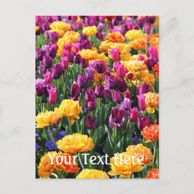 Falln Sunset Blommigt River Vykort (Framsida)