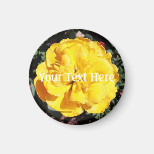 Falln Sunshine Blommigt Magnet
