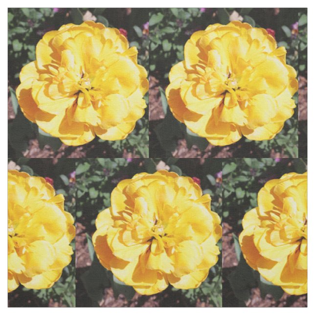 Falln Sunshine Blommigt Tyg (Provkarta)