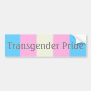 Falln Transgender Pride Flagga 2 (text) Bildekal