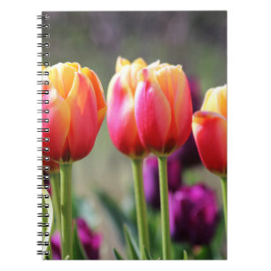 Falln Tulips Aflame Anteckningsbok Med Spiral