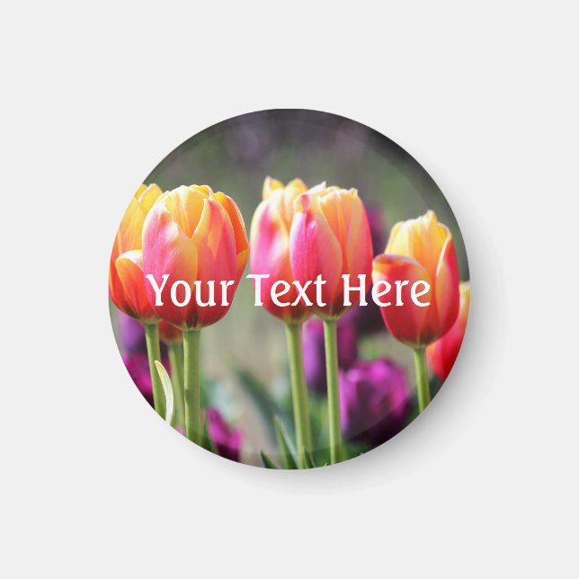 Falln Tulips Aflame Magnet (Framsidan)