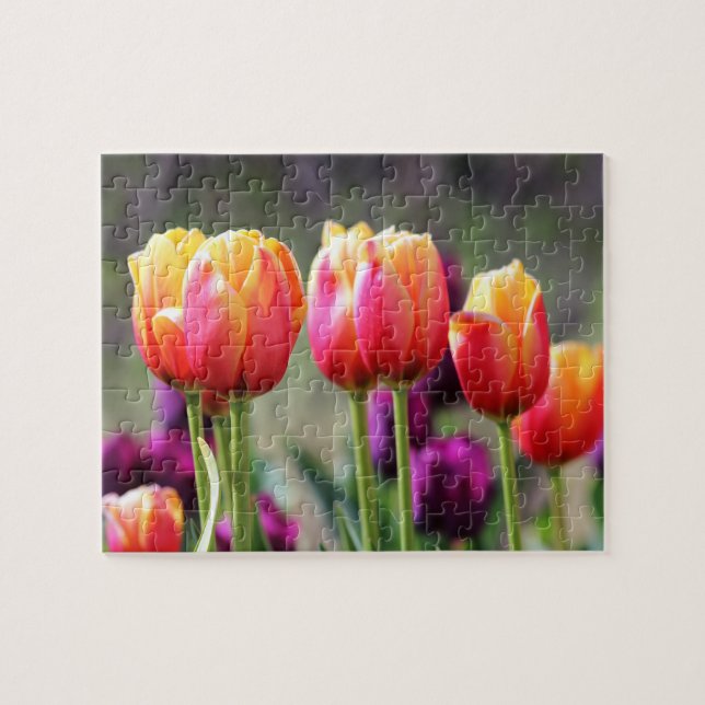 Falln Tulips Aflame Pussel (Horisontell)