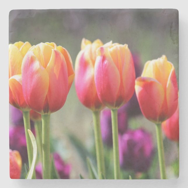 Falln Tulips Aflame Underlägg Sten (Framsidan)
