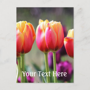 Falln Tulips Aflame Vykort