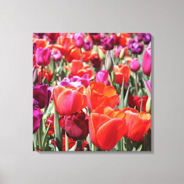 Falln Warm Tulips Canvastryck (Framsida)