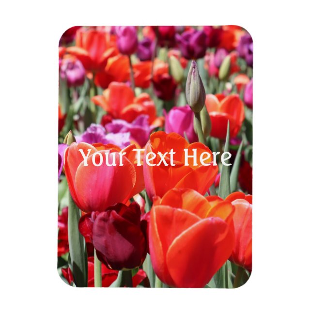 Falln Warm Tulips Magnet (Vertikal)