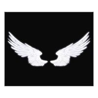 Falln White Angel Vingar