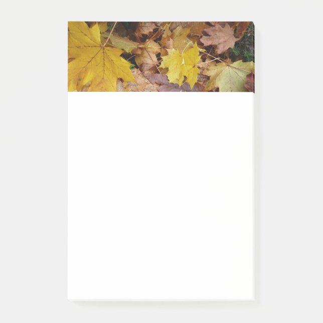Fallna lönnlöv gula höstnaturen post-it block (Framsida)