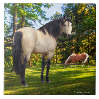 "Fallon"  Kakelplatta