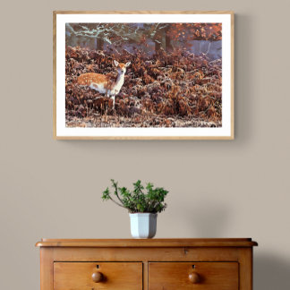 Fallow Hjort i Bradgate Park Fototryck